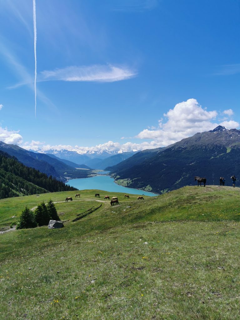 Urlaub in Tirol